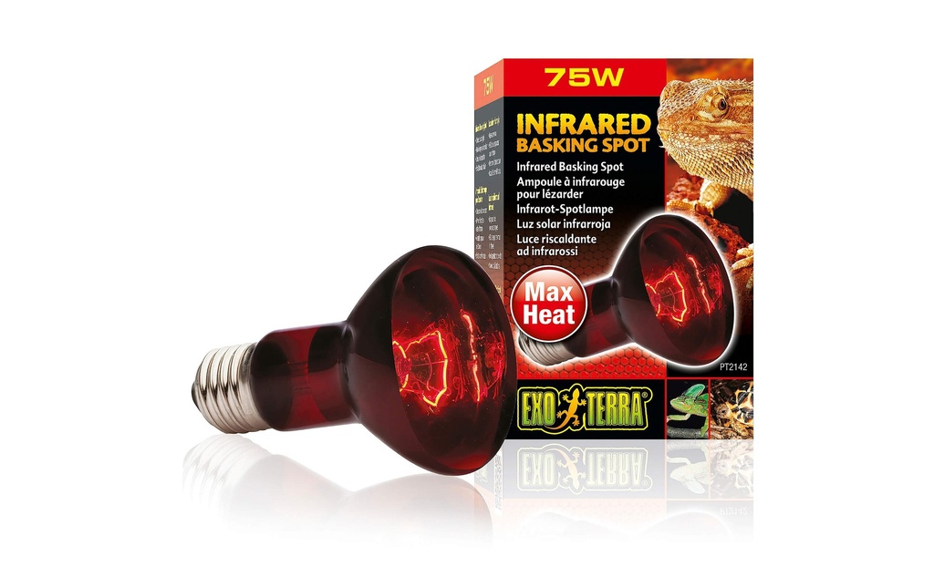 Exo Terra Lampe pour terrarium Infrared Basking Spot E27, R20/75W