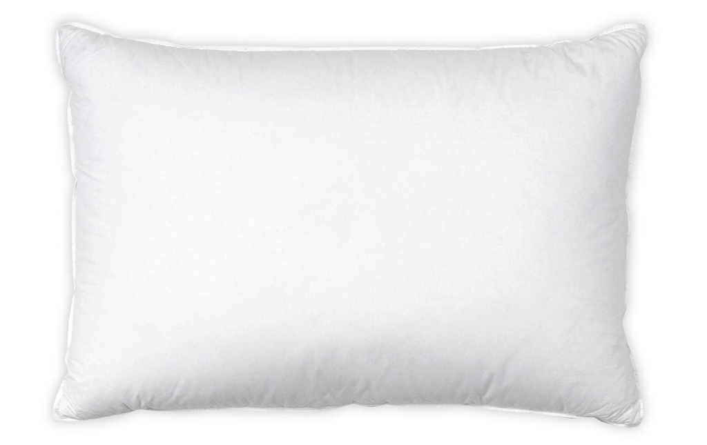 Interio Bettwaren Oreiller classique Comfort Pure 40 x 60 cm