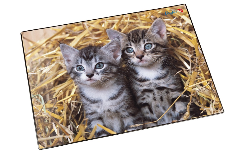 Läufer Sous-main Chats dans la paille 40 x 53 cm, 1 pièce
