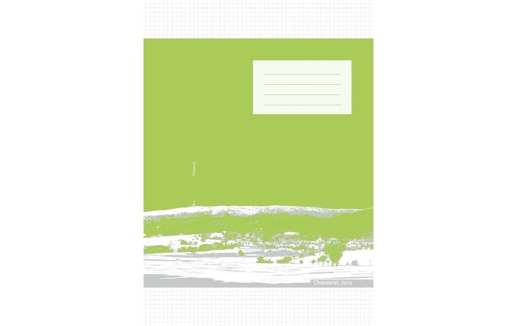ingold-biwa Cahier d'école A4, À carreaux, Vert, 25 pièces
