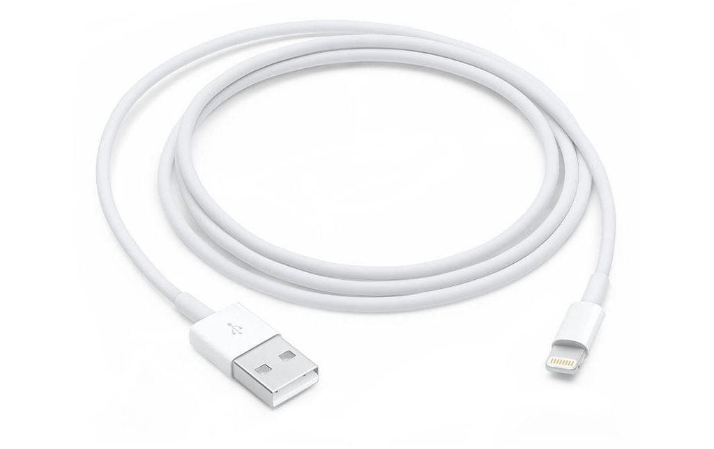 Apple Câble USB 2.0 USB-A - Lightning 1 m