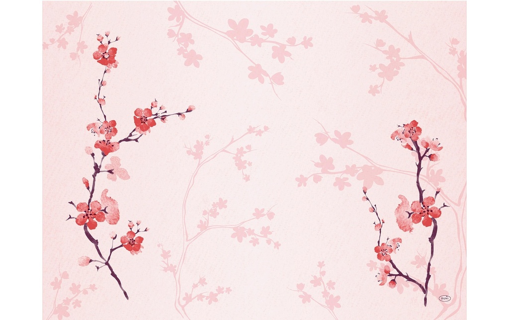 Duni Set de table Cherry Breeze 250 pièces, 30 cm x 40 cm, Rose
