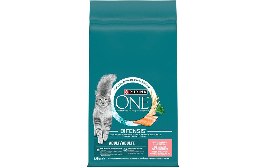 Purina ONE Alimentation sèche Adult saumon et céréales complètes 9.75 kg