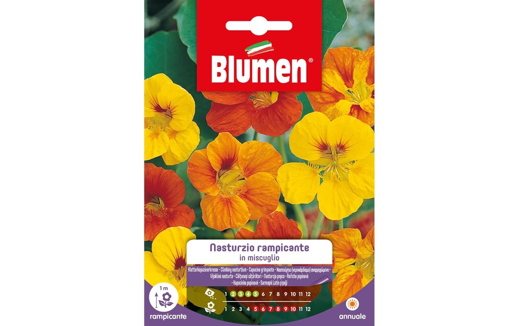 Blumen Semence Capucine grimpante Mix