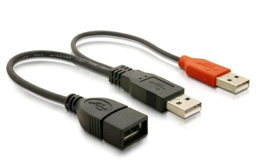 Delock Câble en Y USB 2.0  USB-A - USB-A 0.22 m