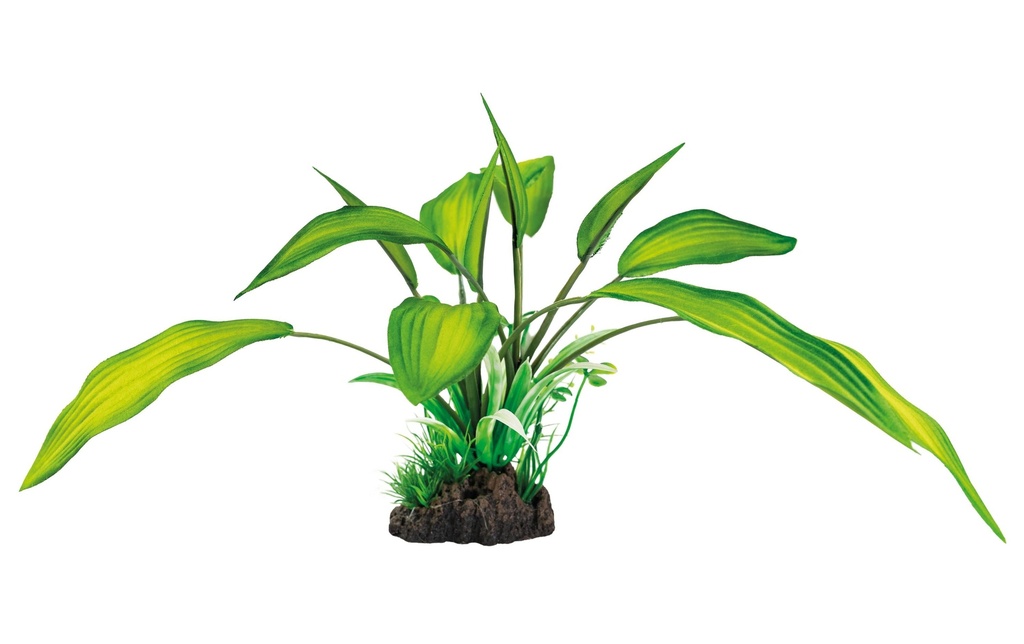 SuperFish Plante artificielle Cryptocoryne, 25 cm