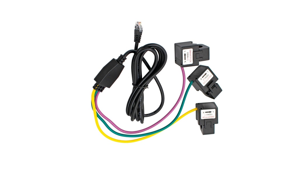 SMARTFOX Convertisseur 100A