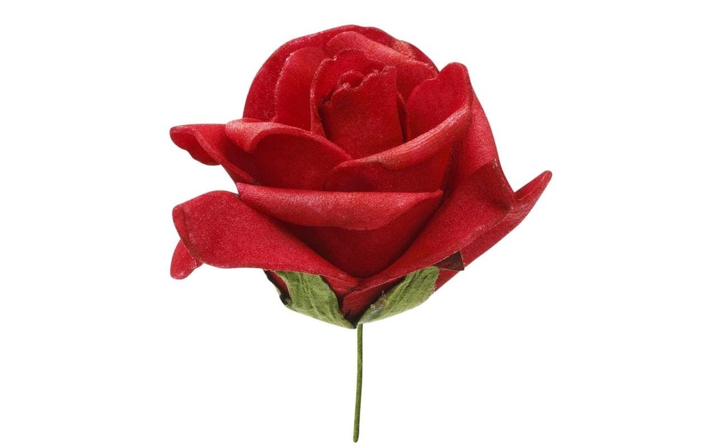 HobbyFun Décoration à éparpiller Roses 12 pièces, rouge
