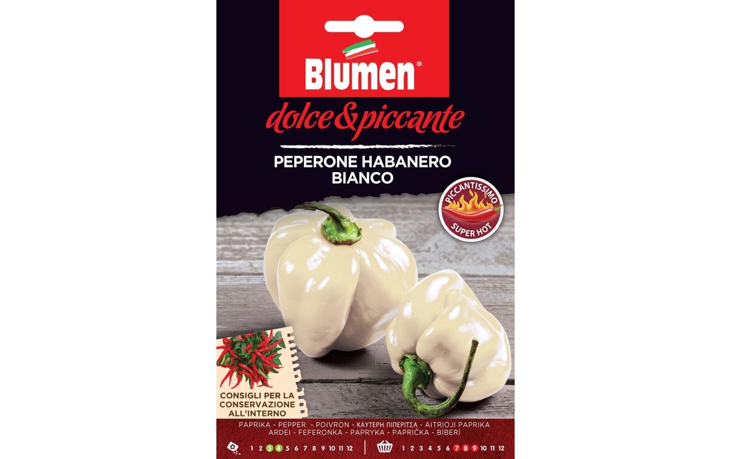 Blumen Semence Paprika Habanero Bianco