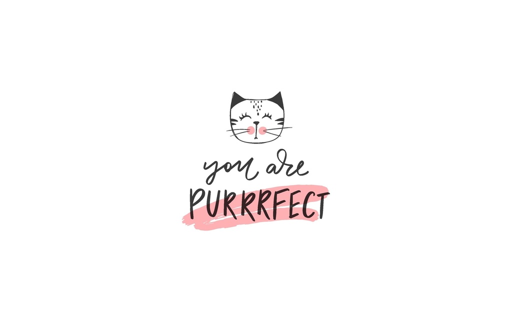 Paper + Design Mouchoirs Purrrfect 10 Pièce/s