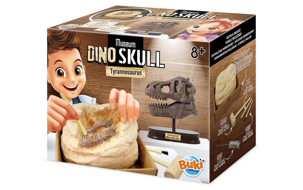Buki Boîtes d’expérimentation Crâne de dinosaure – Tyrannosaurus