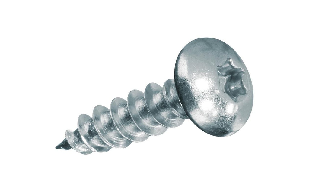 FTM Vis pour contreplaqué Pan Head 4.5 x 20 mm Acier, 12 pièces