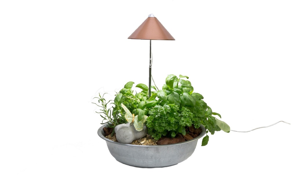 Venso Solutions Lumière de plantes SunLite 7 W, Cuivre
