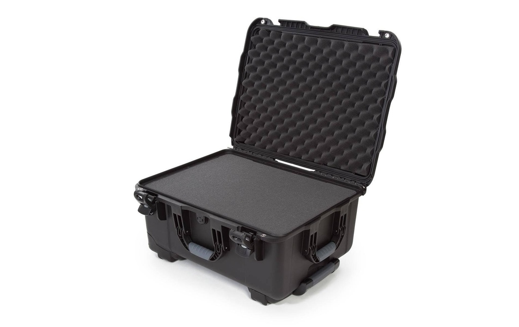 Nanuk Mallette en plastique 950 - avec mousse Noir
