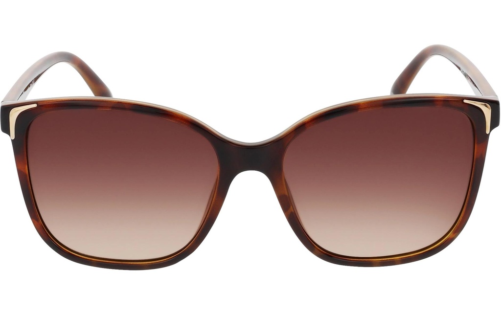 SMARTY Lunettes de soleil Frutigen Demi, avec étui