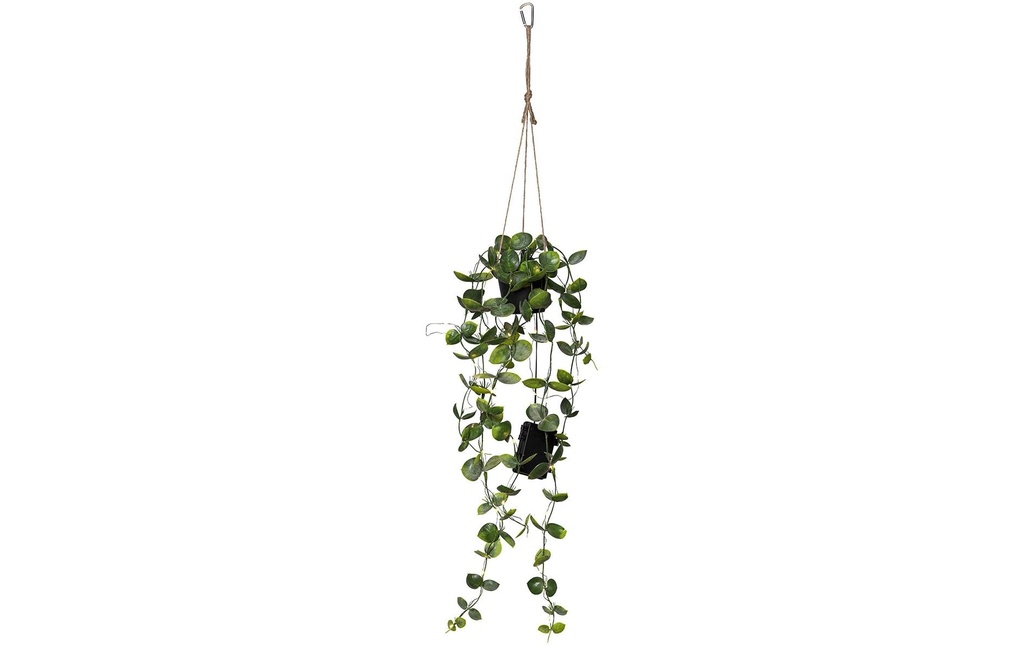 Star Trading Plante artificielle Laos avec guirlande lumineuse 60 cm 60 cm