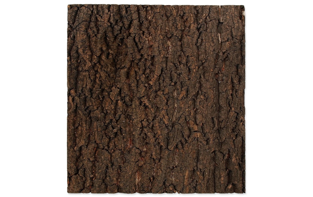 Repti Planet Paroi arrière en liège 43.5 x 41 x 2 cm