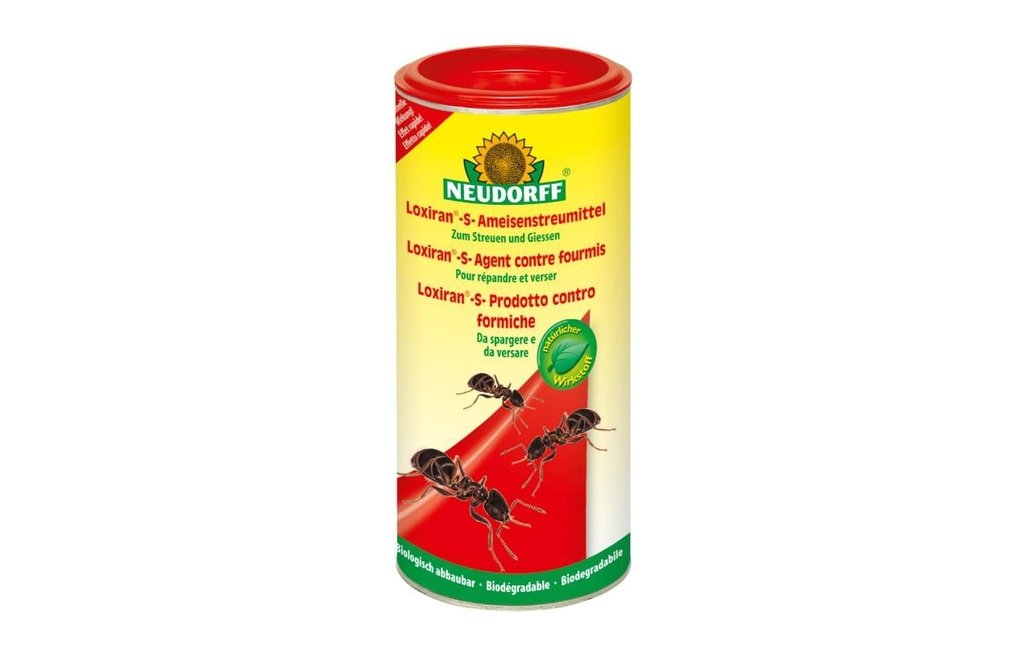Neudorff Piège à insectes Loxiran-S-Fourmis moyen, 500 g