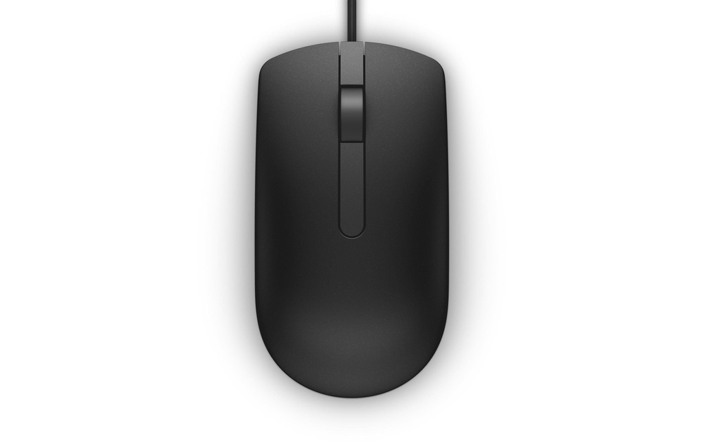 Dell Souris MS116 USB Noir