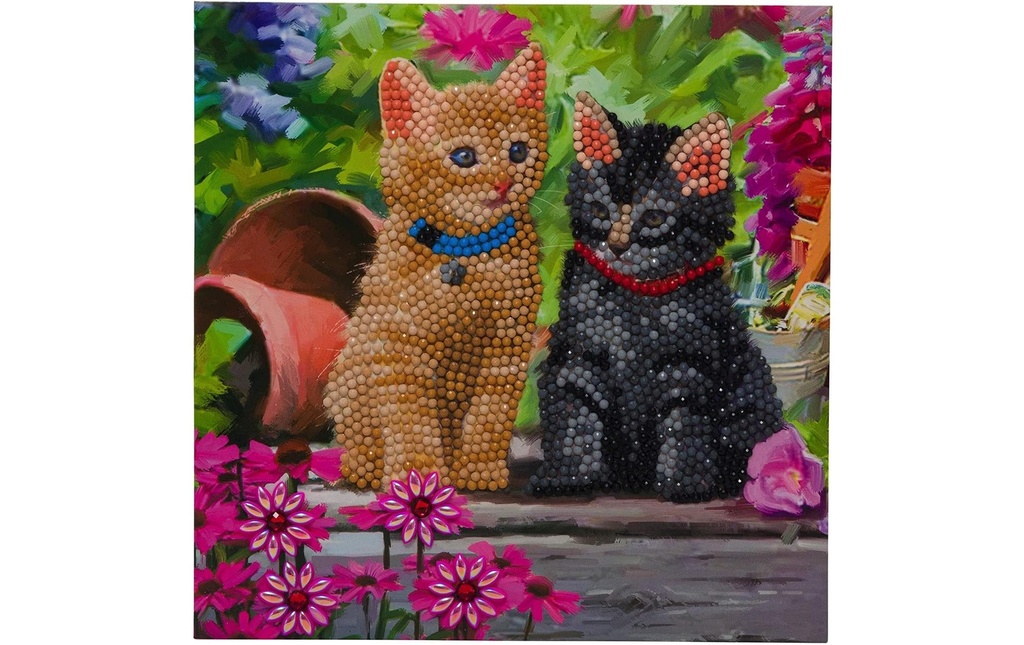CRAFT Buddy Kits de bricolage Crystal Art Card Cat Friends