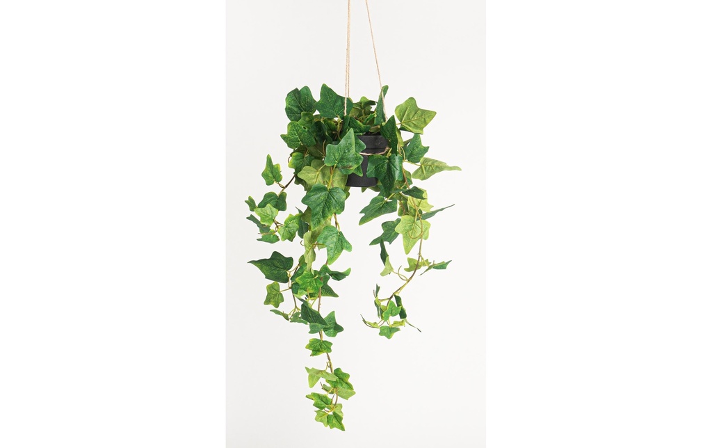 Botanic-Haus Plante artificielle Lierre suspendu 85 cm