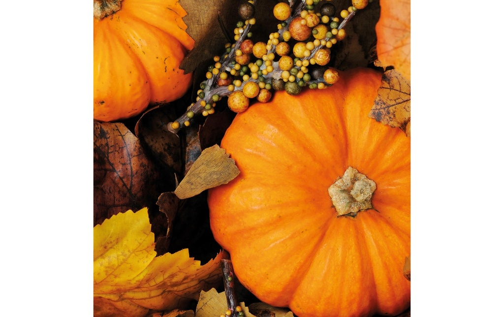 Paper + Design Serviettes en papier Fall Pumpkins 33 cm x 33 cm, 20 Pièce/s