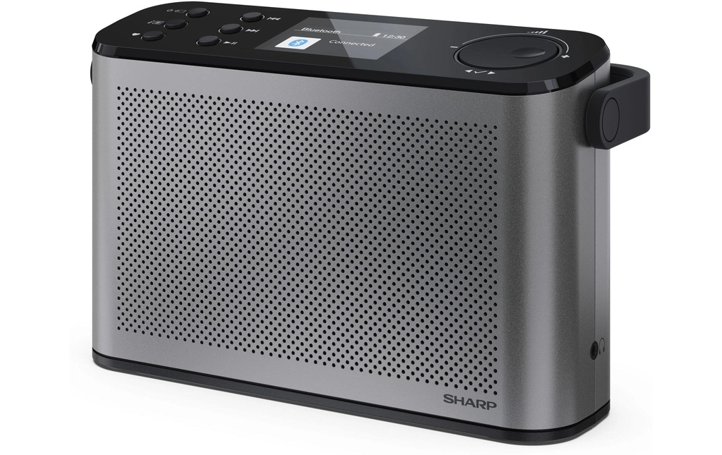 Sharp Radio DAB+ DR-P540 Gris