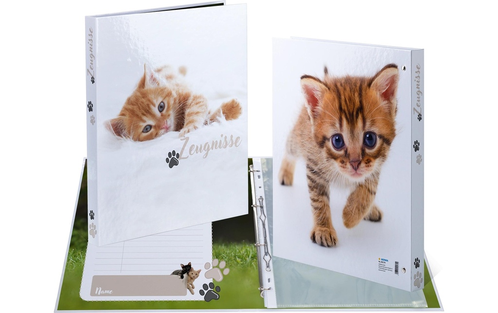 HERMA Classeur à anneaux Certificat A4 Chats 1 pièce