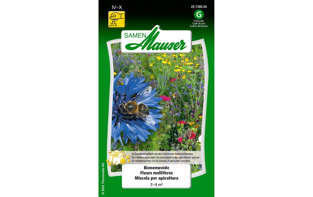 Samen Mauser Semence Saule des abeilles 5 g