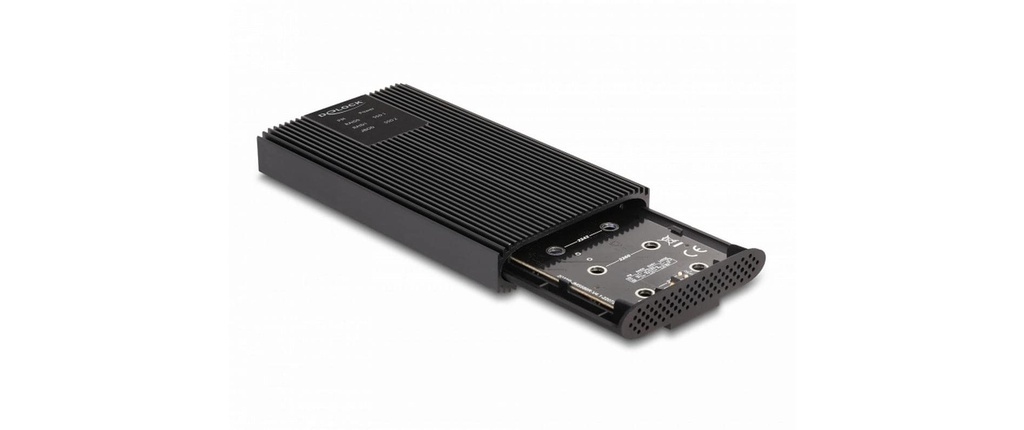 Delock Boîtier externe 2x M.2 NVMe PCIe SSD avec USB-C 20 Gbps M2