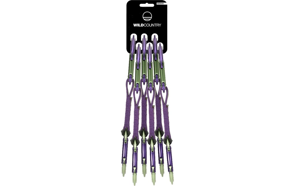 Wild Country Express Session Quickdraw 6 x 12 cm, violet/vert
