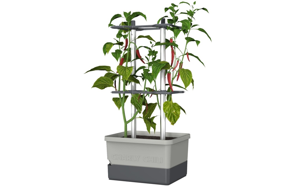 Gusta Garden Pot à fleur Kit de démarrage CHARLY CHILI, Gris clair