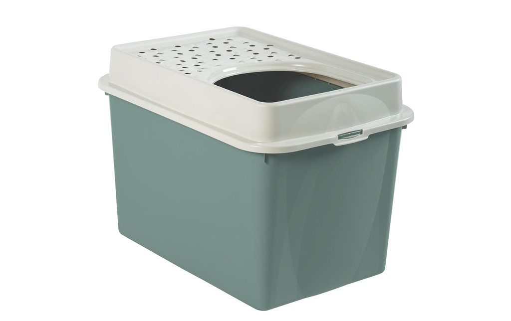Rotho Litière pour chats Berty Eco, Vert – Sable