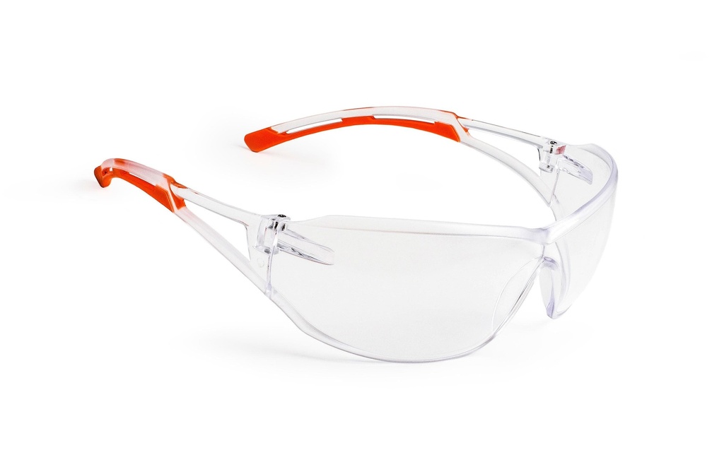 UNICO Lunettes de protection 1100 CSV Transparent