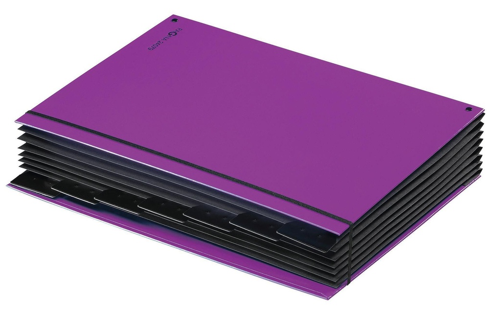 Pagna Classeur à compartiments A4 Trend Violet, 7 compartiments