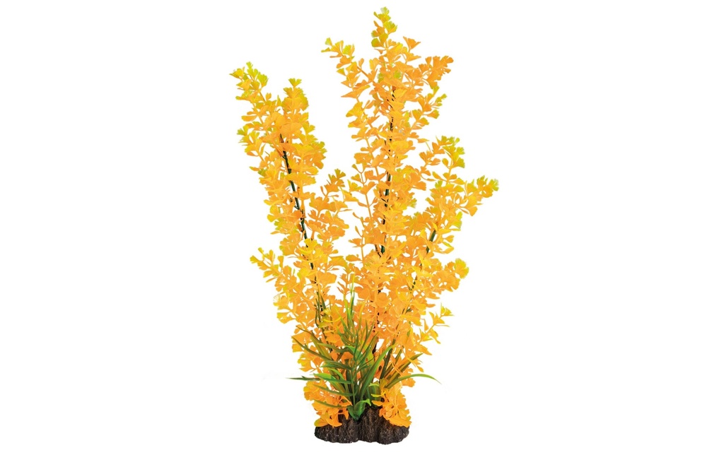 SuperFish Plante artificielle Ludwigia orange, 40 cm