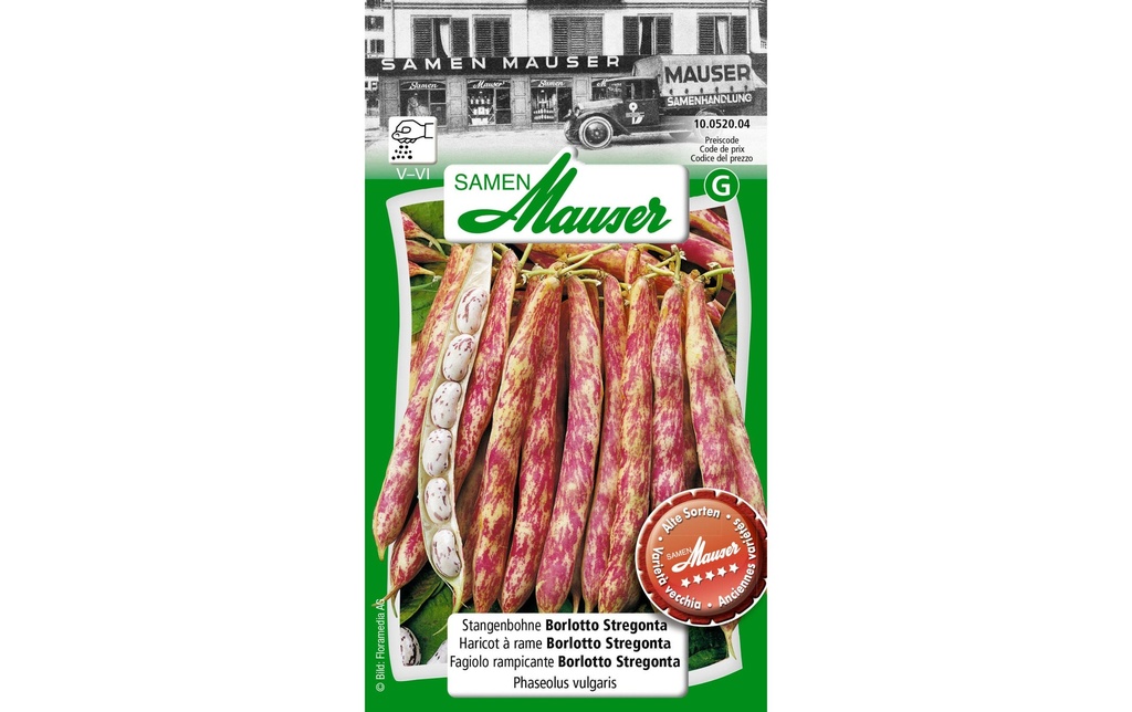 Samen Mauser Semence Haricot vert ancien Borlotti Stregonta