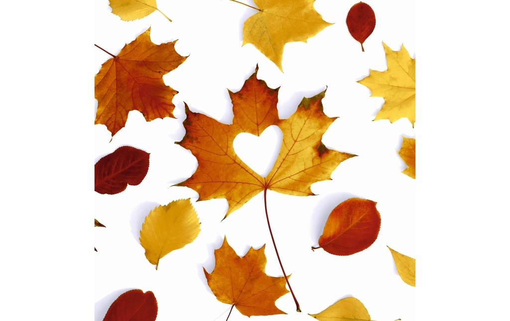 Paper + Design Serviettes en papier Autumn Love 33 cm x 33 cm, 20 Pièce/s