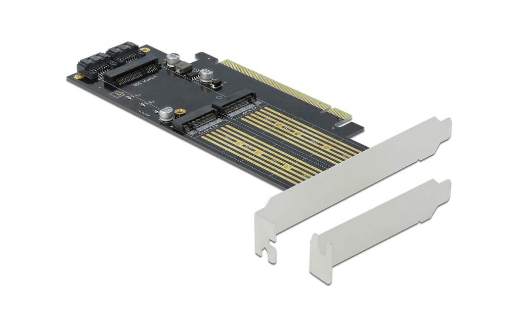 Delock Adaptateur de bus hôte PCI-Ex16v4 - M.2 Key-B, M.2 Key-M, mSATA