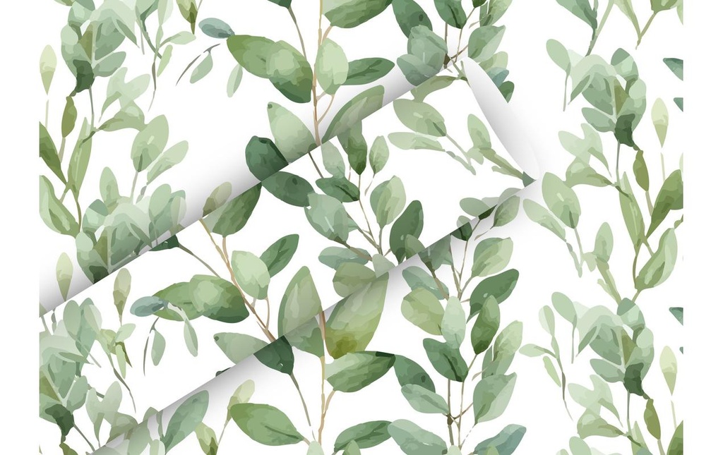 Braun + Company Papier cadeau Soft Greeen, 2 m x 70 cm