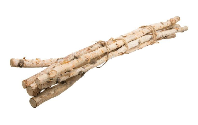 Dekomat AG Branches de bouleau 80 cm, 6 pièces
