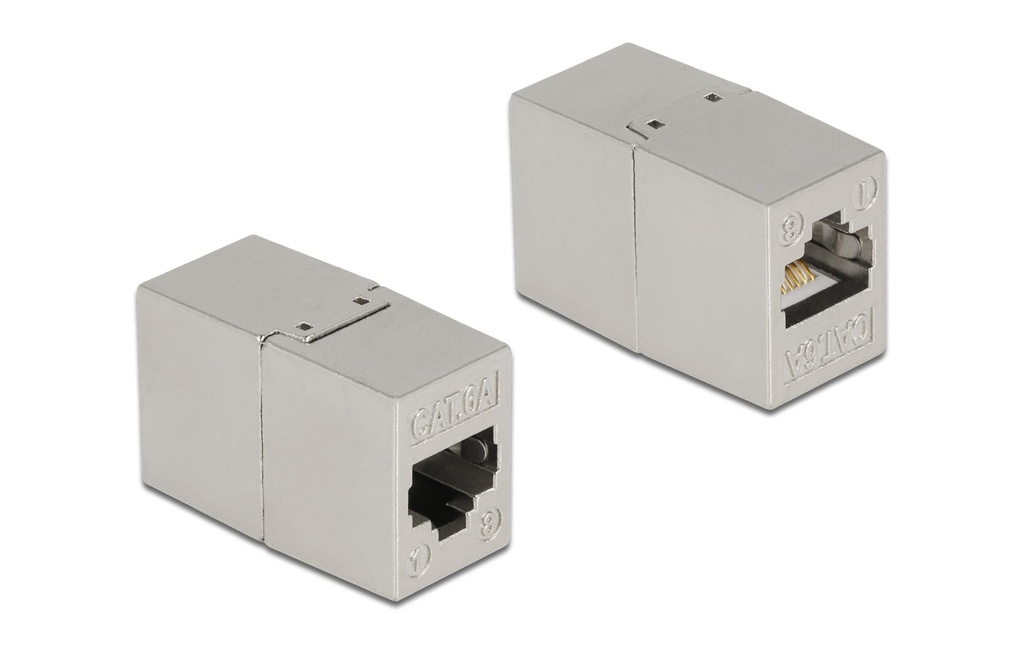 Delock Accouplement RJ45 - RJ45, Cat.6A, métal 1 Pièce/s