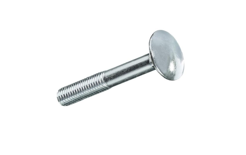 FTM Vis de serrure M 6 x 30 mm Acier inoxydable, 4 pièces