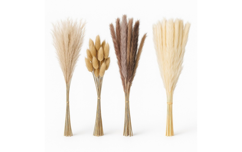relaxdays Herbe de la pampa Lot de 144