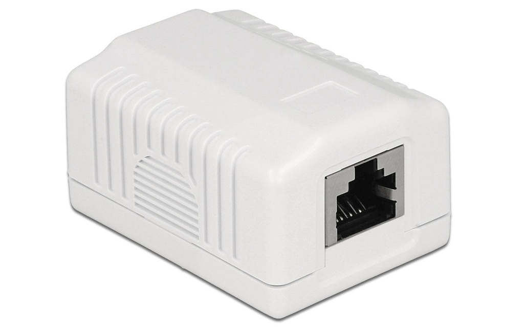 Delock Boîtier RJ45 Cat.6A LSA célibataire