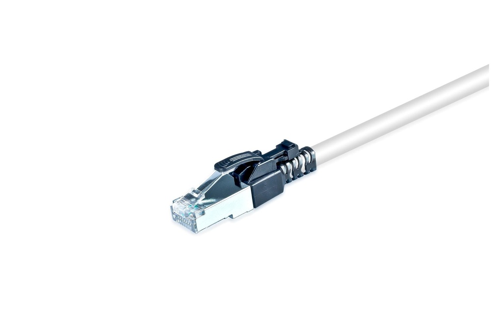 Wirewin Câble patch Securelock Cat 6A, S/FTP, 1.5 m, Gris