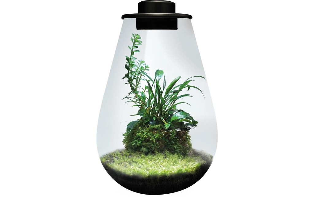 Bio Art Pot de plantes Drop 285 Noir