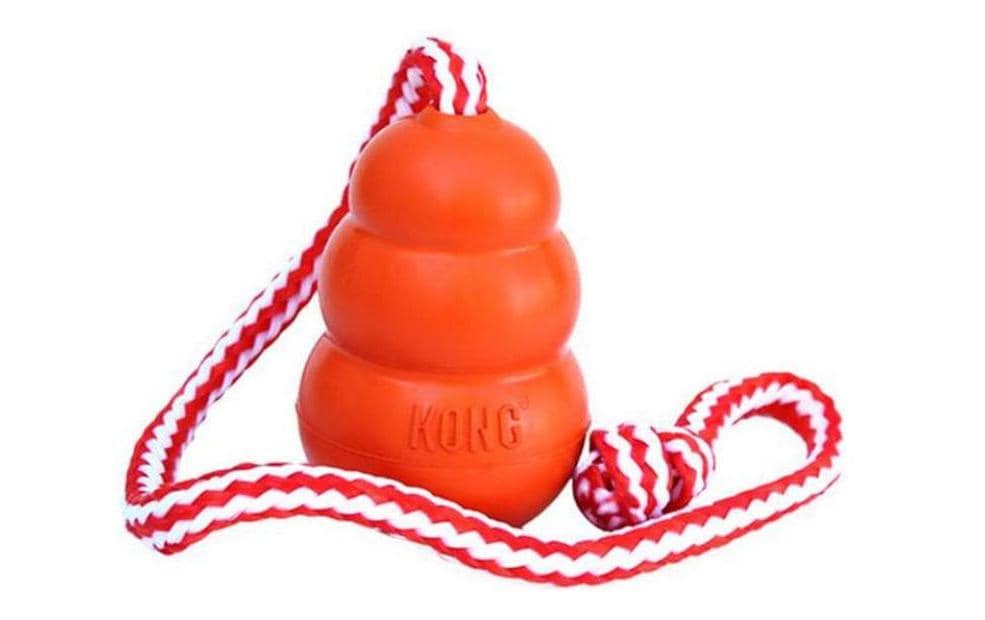 Kong Jouet pour chien Kong Aqua Ø 9 cm